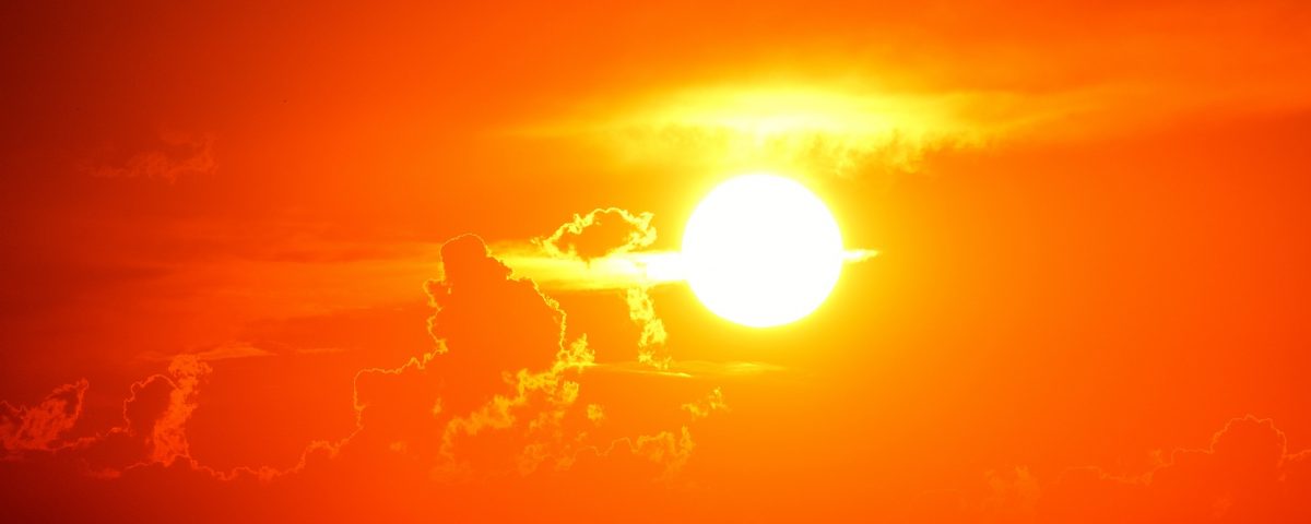 Zon
